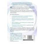 Tom Mögele: The Mindflow Method (Hungarian)