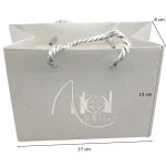 Silver-tone gift bag