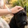 Ezüst kutyás karkötő skót terrier