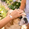 Ezüst kutyás karkötő angol bulldog