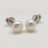 Silver earrings with pearls