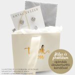 Winter silver earrings set