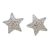 Silver star stud earrings