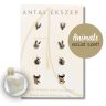 Animals silver earrings set