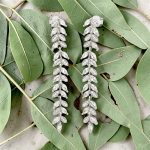 Silver drop / dangle earrings with leaf pattern
