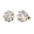 Classic stone gold stud earrings